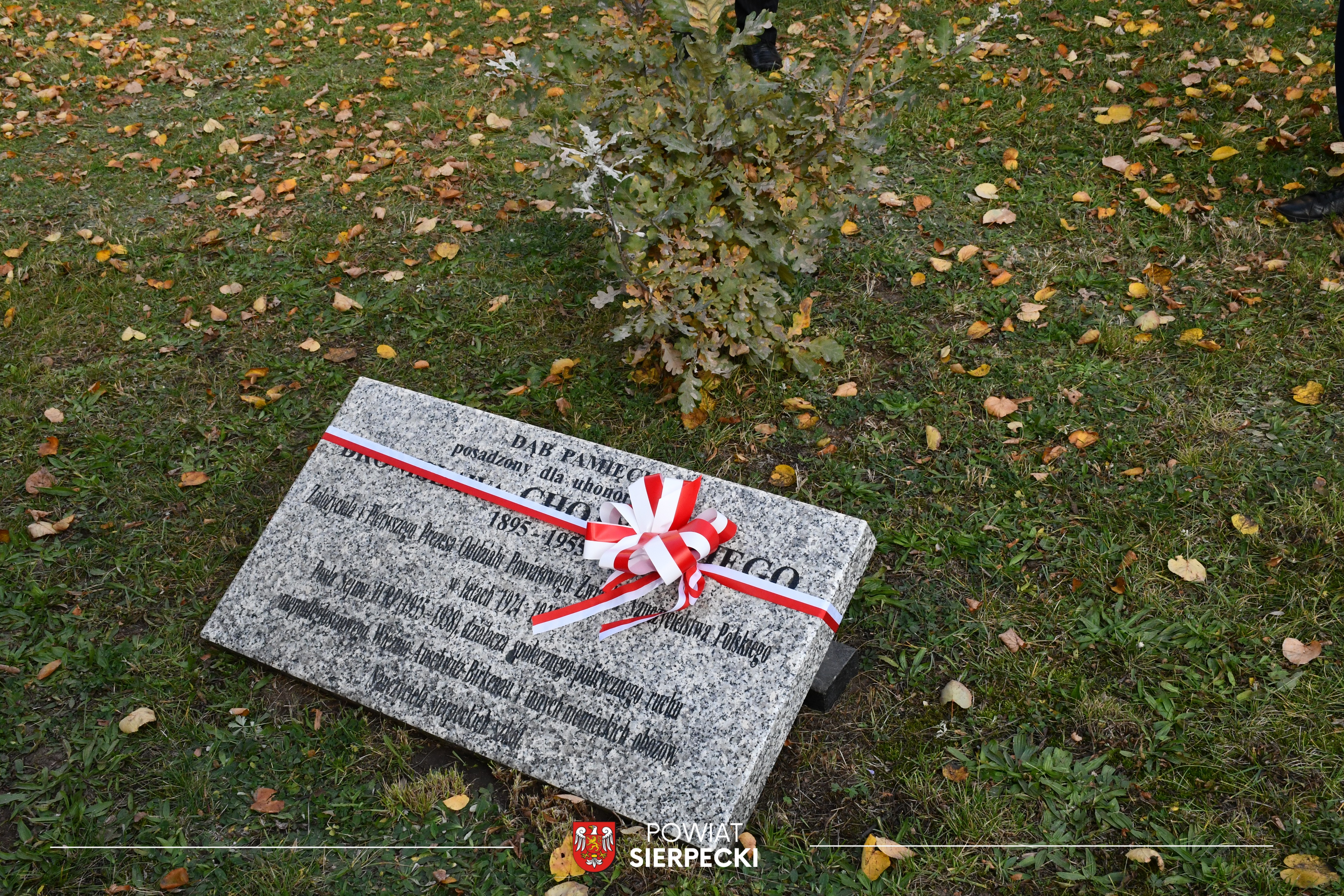 100-lecie Związku Nauczycielstwa Polskiego w Sierpcu